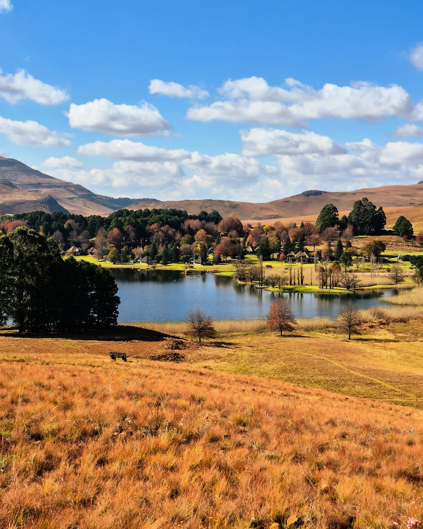 Drakensberg valley in autumn gold