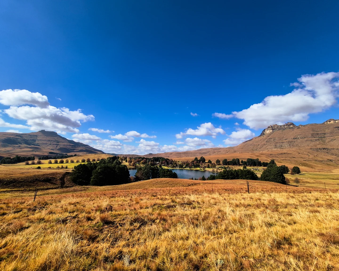 Wide Drakensberg grassland panorama