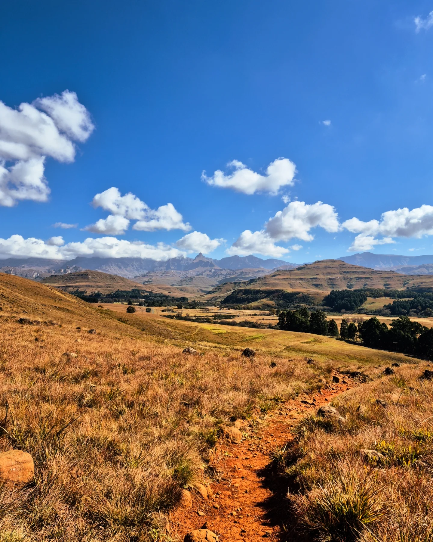 Hiking trail through golden grasslands