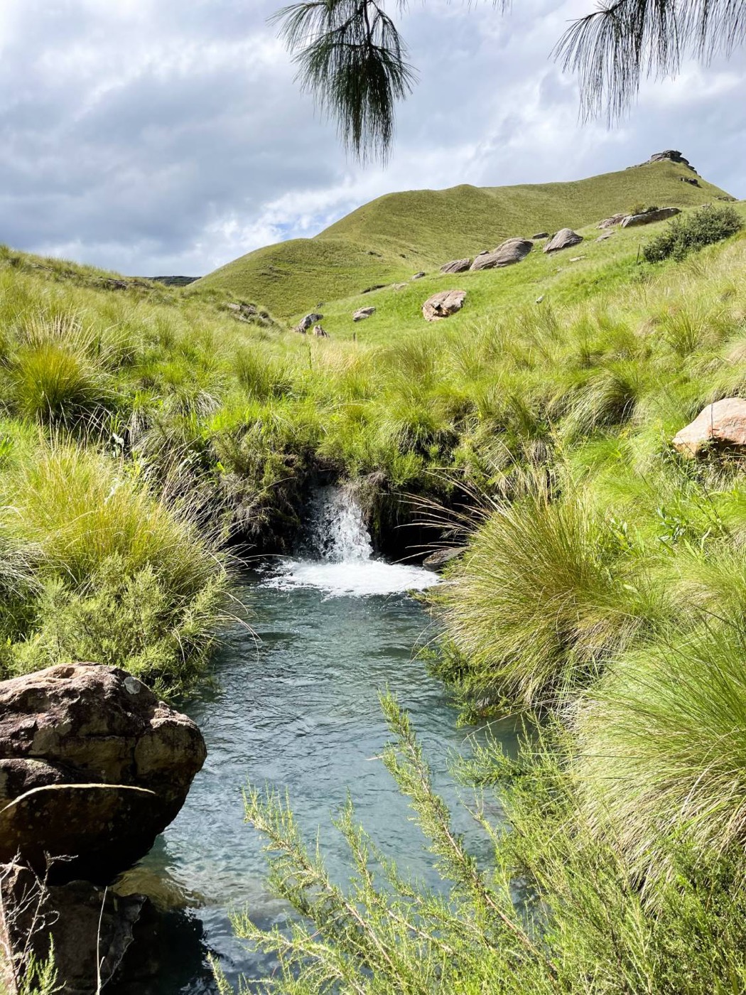 Mountain stream and waterfall pool in the Southern Drakensberg